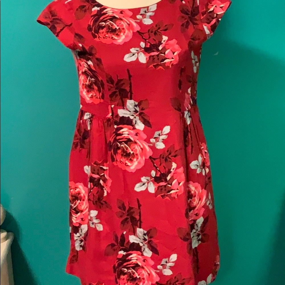 Gap kids Rose Dress 12